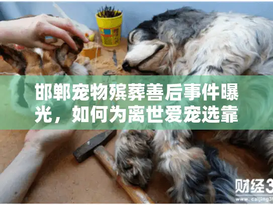 邯郸宠物殡葬善后事件曝光,如何为离世爱宠选靠谱的最后一程服务? 邯郸宠物殡葬善后事件曝光,如何为离世爱宠选靠谱的最后一程服务?