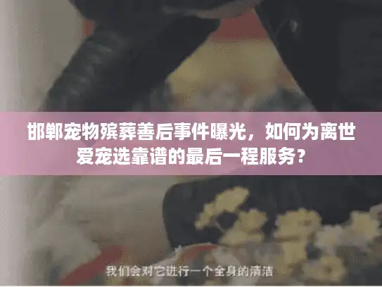 邯郸宠物殡葬善后事件曝光,如何为离世爱宠选靠谱的最后一程服务? 邯郸宠物殡葬善后事件曝光,如何为离世爱宠选靠谱的最后一程服务?