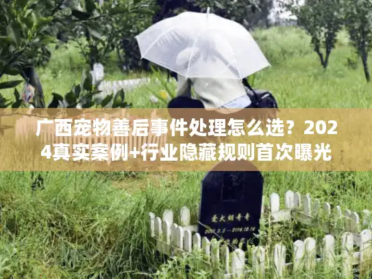 广西宠物善后事件处理怎么选？2024真实案例+行业隐藏规则首次曝光