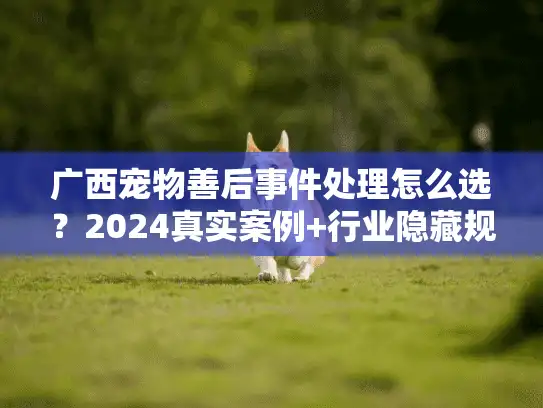广西宠物善后事件处理怎么选？2024真实案例+行业隐藏规则首次曝光