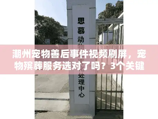 潮州宠物善后事件视频刷屏，宠物殡葬服务选对了吗？3个关键细节多数人忽略