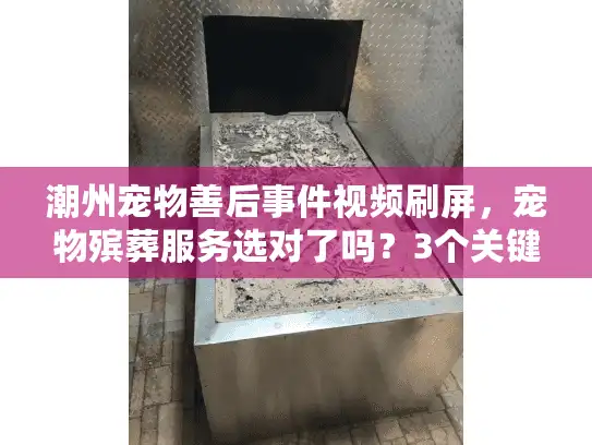 潮州宠物善后事件视频刷屏，宠物殡葬服务选对了吗？3个关键细节多数人忽略