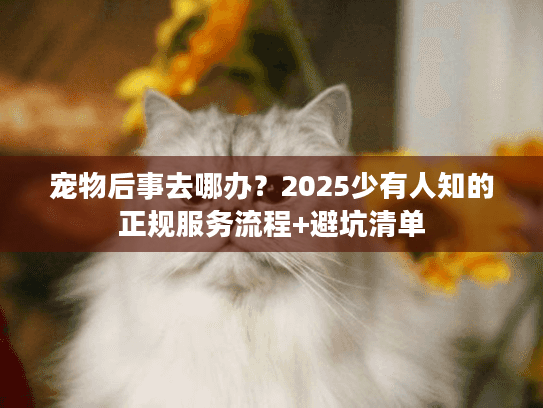 宠物后事去哪办?2025少有人知的正规服务流程+避坑清单 宠物后事去哪办?2025少有人知的正规服务流程+避坑清单