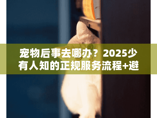 宠物后事去哪办?2025少有人知的正规服务流程+避坑清单 宠物后事去哪办?2025少有人知的正规服务流程+避坑清单