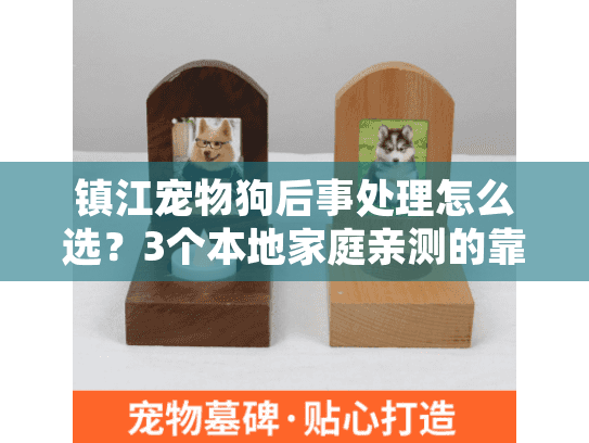 镇江宠物狗后事处理怎么选？3个本地家庭亲测的靠谱服务+避坑技巧