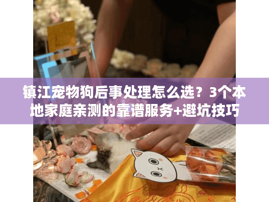 镇江宠物狗后事处理怎么选？3个本地家庭亲测的靠谱服务+避坑技巧