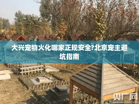 大兴宠物火化哪家正规安全?北京宠主避坑指南