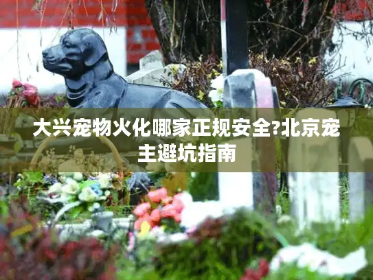 大兴宠物火化哪家正规安全?北京宠主避坑指南