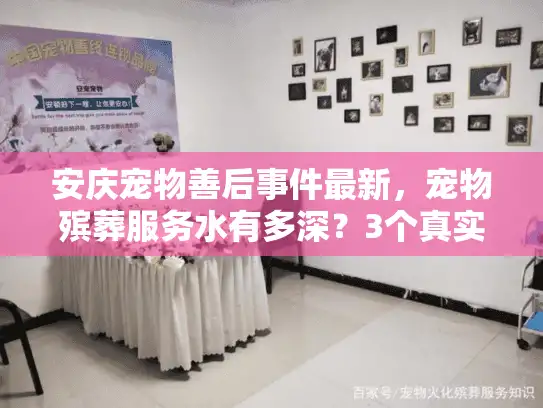 安庆宠物善后事件最新,宠物殡葬服务水有多深?3个真实案例教你避坑 安庆宠物善后事件最新,宠物殡葬服务水有多深?3个真实案例教你避坑
