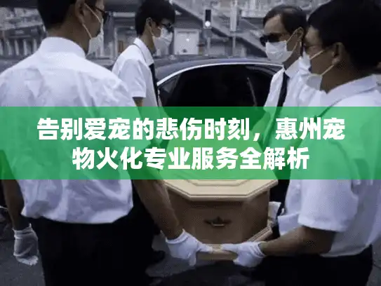 告别爱宠的悲伤时刻，惠州宠物火化专业服务全解析