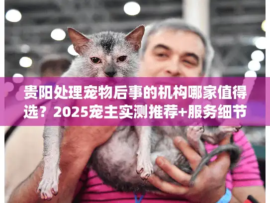 贵阳处理宠物后事的机构哪家值得选？2025宠主实测推荐+服务细节大曝光