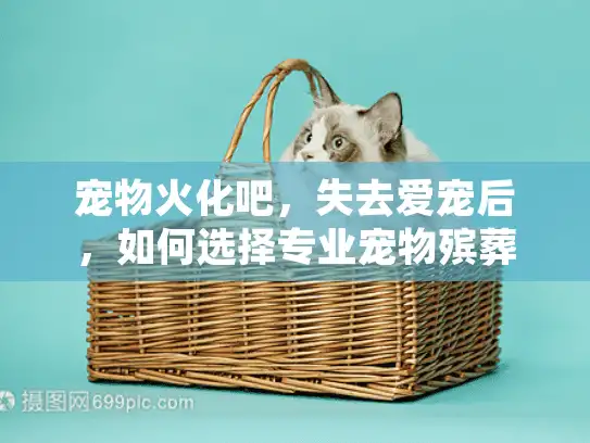 宠物火化吧,失去爱宠后,如何选择专业宠物殡葬服务? 宠物火化吧,失去爱宠后,如何选择专业宠物殡葬服务?