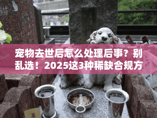 宠物去世后怎么处理后事?别乱选!2025这3种稀缺合规方案90%人不知道(附真实案例) 宠物去世后怎么处理后事?别乱选!2025这3种稀缺合规方案90%人不知道(附真实案例)