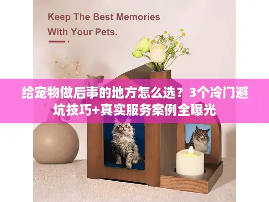 给宠物做后事的地方怎么选?3个冷门避坑技巧+真实服务案例全曝光 给宠物做后事的地方怎么选?3个冷门避坑技巧+真实服务案例全曝光