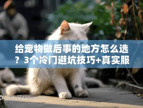 给宠物做后事的地方怎么选?3个冷门避坑技巧+真实服务案例全曝光 给宠物做后事的地方怎么选?3个冷门避坑技巧+真实服务案例全曝光