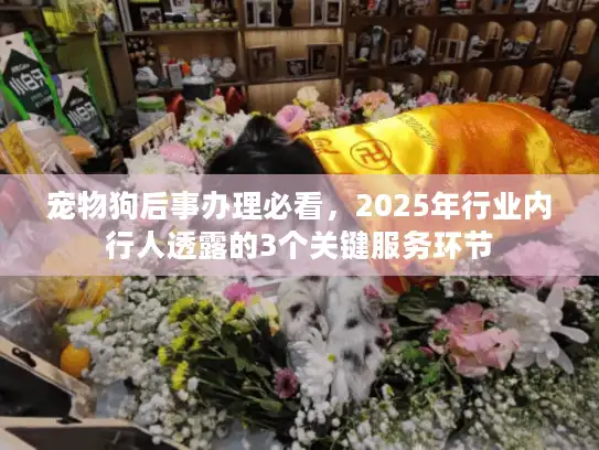 宠物狗后事办理必看，2025年行业内行人透露的3个关键服务环节