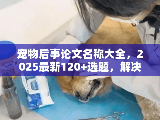 宠物后事论文名称大全，2025最新120+选题，解决殡葬服务研究/实践痛点？