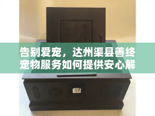 告别爱宠，达州渠县善终宠物服务如何提供安心解决方案？
