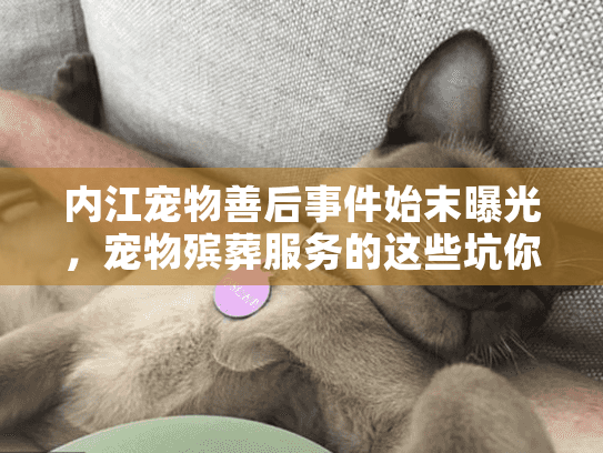 内江宠物善后事件始末曝光,宠物殡葬服务的这些坑你必须知道! 内江宠物善后事件始末曝光,宠物殡葬服务的这些坑你必须知道!
