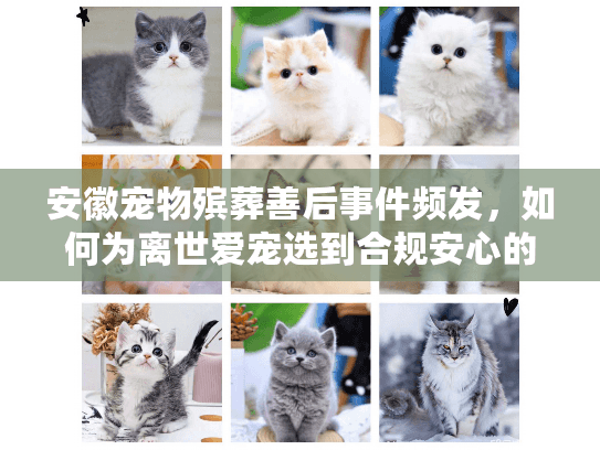 安徽宠物殡葬善后事件频发，如何为离世爱宠选到合规安心的服务？