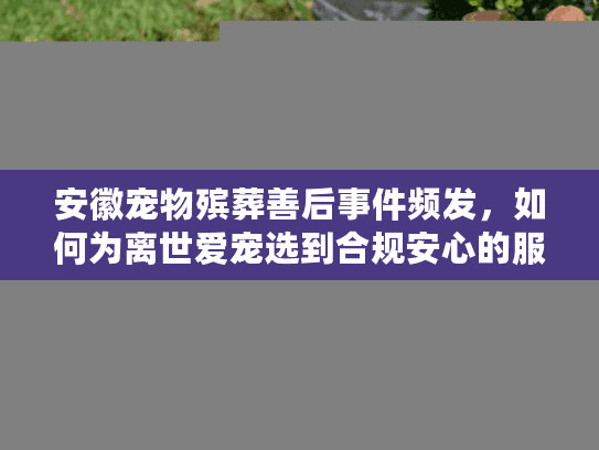 安徽宠物殡葬善后事件频发，如何为离世爱宠选到合规安心的服务？