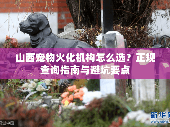 山西宠物火化机构怎么选？正规查询指南与避坑要点
