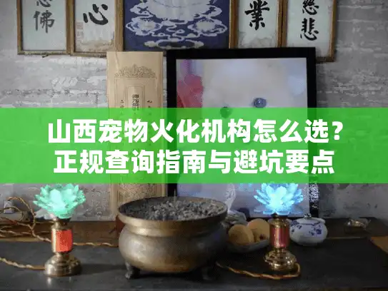 山西宠物火化机构怎么选？正规查询指南与避坑要点