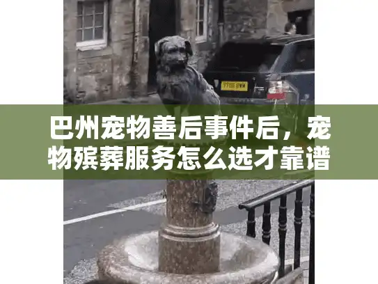 巴州宠物善后事件后,宠物殡葬服务怎么选才靠谱?内附真实案例 巴州宠物善后事件后,宠物殡葬服务怎么选才靠谱?内附真实案例