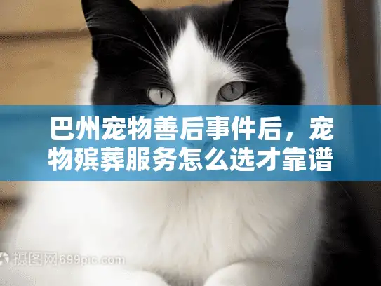 巴州宠物善后事件后,宠物殡葬服务怎么选才靠谱?内附真实案例 巴州宠物善后事件后,宠物殡葬服务怎么选才靠谱?内附真实案例