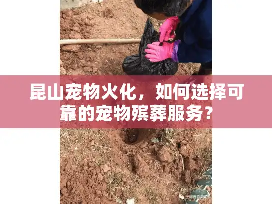 昆山宠物火化，如何选择可靠的宠物殡葬服务？