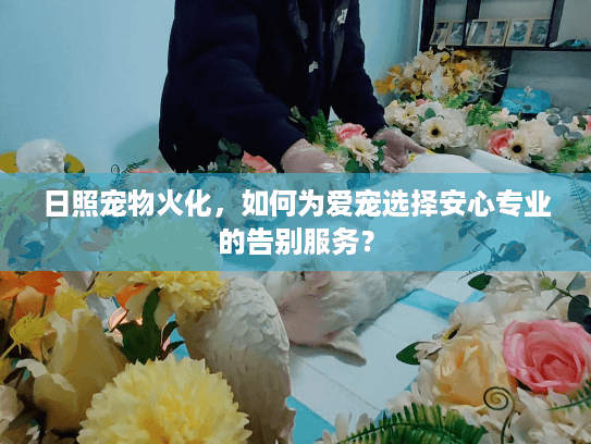 日照宠物火化，如何为爱宠选择安心专业的告别服务？