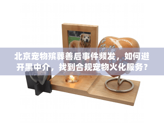 北京宠物殡葬善后事件频发，如何避开黑中介，找到合规宠物火化服务？