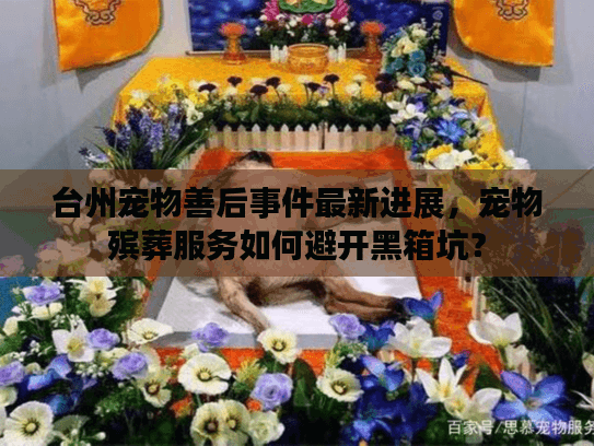 台州宠物善后事件最新进展,宠物殡葬服务如何避开黑箱坑? 台州宠物善后事件最新进展,宠物殡葬服务如何避开黑箱坑?