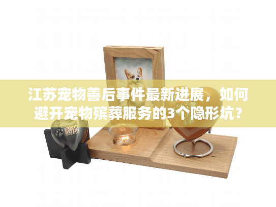 江苏宠物善后事件最新进展,如何避开宠物殡葬服务的3个隐形坑? 江苏宠物善后事件最新进展,如何避开宠物殡葬服务的3个隐形坑?