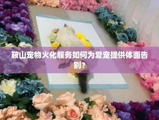 鞍山宠物火化服务如何为爱宠提供体面告别？