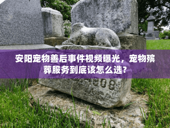 安阳宠物善后事件视频曝光,宠物殡葬服务到底该怎么选? 安阳宠物善后事件视频曝光,宠物殡葬服务到底该怎么选?