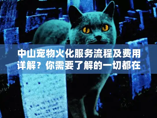 中山宠物火化服务流程及费用详解？你需要了解的一切都在这里