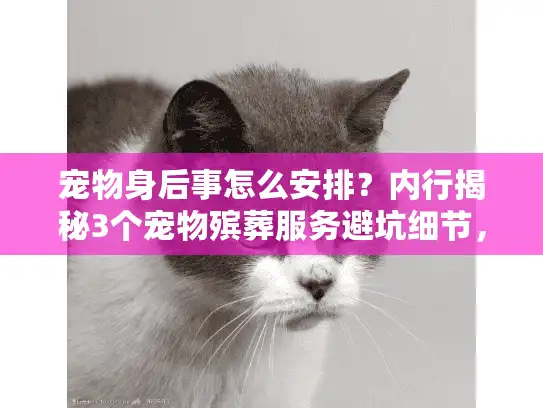 宠物身后事怎么安排?内行揭秘3个宠物殡葬服务避坑细节,别花冤枉钱! 宠物身后事怎么安排?内行揭秘3个宠物殡葬服务避坑细节,别花冤枉钱!