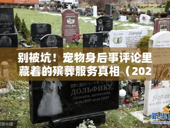 别被坑！宠物身后事评论里藏着的殡葬服务真相（2025最新案例）