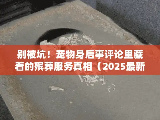 别被坑！宠物身后事评论里藏着的殡葬服务真相（2025最新案例）