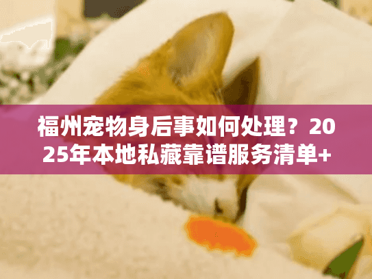 福州宠物身后事如何处理?2025年本地私藏靠谱服务清单+避坑指南 福州宠物身后事如何处理?2025年本地私藏靠谱服务清单+避坑指南