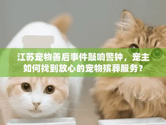江苏宠物善后事件敲响警钟，宠主如何找到放心的宠物殡葬服务？