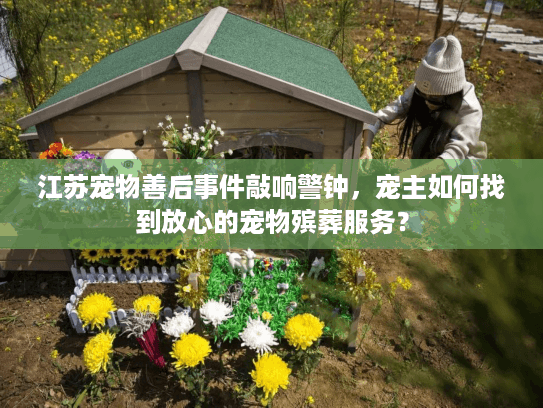 江苏宠物善后事件敲响警钟，宠主如何找到放心的宠物殡葬服务？