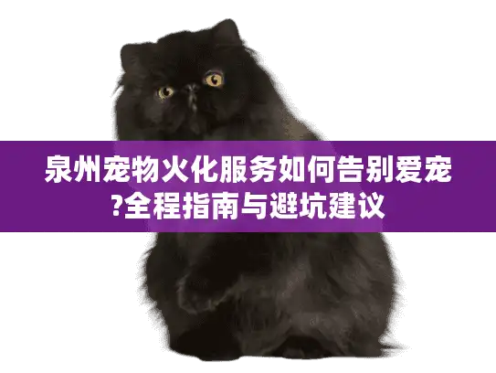 泉州宠物火化服务如何告别爱宠?全程指南与避坑建议