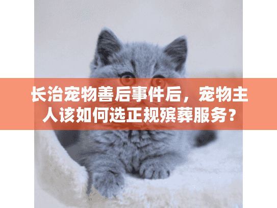 长治宠物善后事件后，宠物主人该如何选正规殡葬服务？