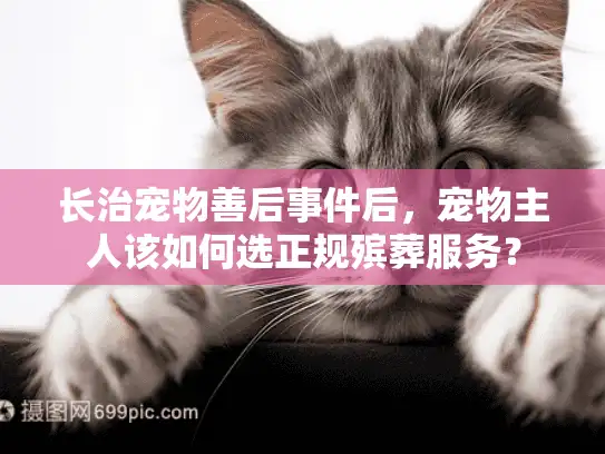 长治宠物善后事件后，宠物主人该如何选正规殡葬服务？