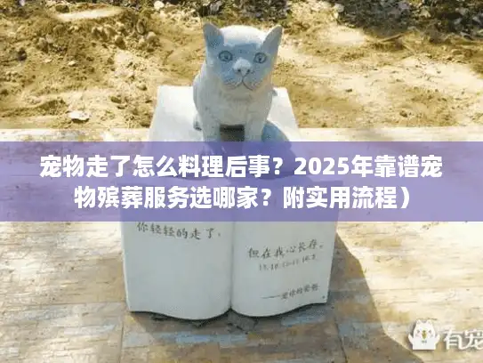 宠物走了怎么料理后事？2025年靠谱宠物殡葬服务选哪家？附实用流程）