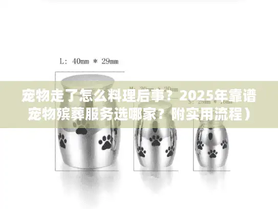 宠物走了怎么料理后事？2025年靠谱宠物殡葬服务选哪家？附实用流程）