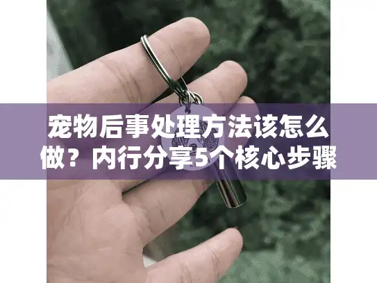 宠物后事处理方法该怎么做？内行分享5个核心步骤，避开殡葬服务那些坑