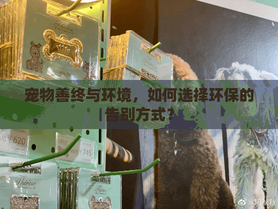 宠物善终与环境,如何选择环保的告别方式? 宠物善终与环境,如何选择环保的告别方式?